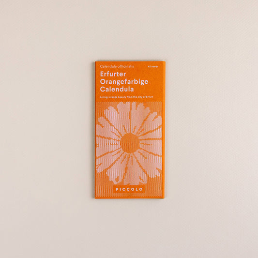 Calendula Erfurter Orangefarbige – Heilpflanze mit leuchtend orangenen Blüten