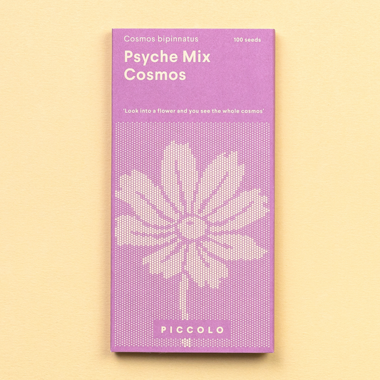 Cosmos Psyche Mix – farbenfroher mexikanischer Schmuckblumen-Mix