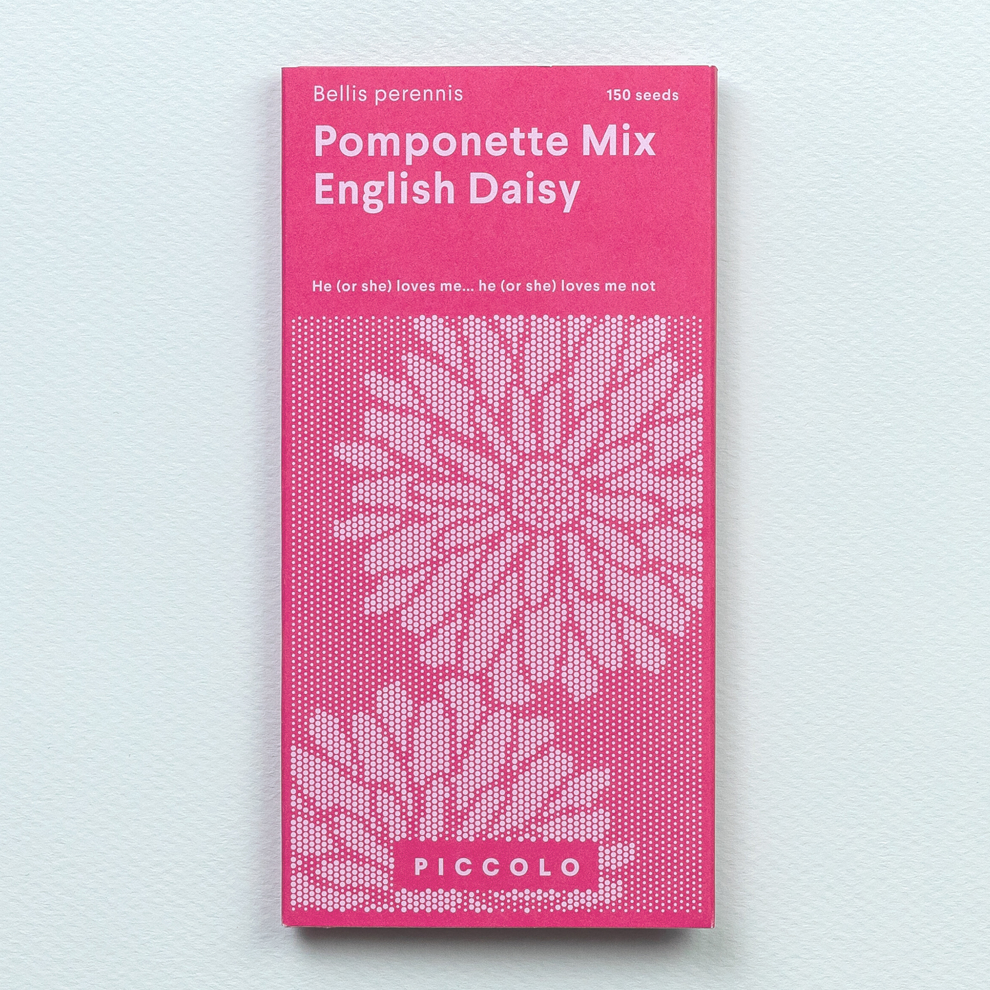 Pomponette Mix Englische Gänseblümchen